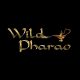 Wild Pharao Online Casino Review