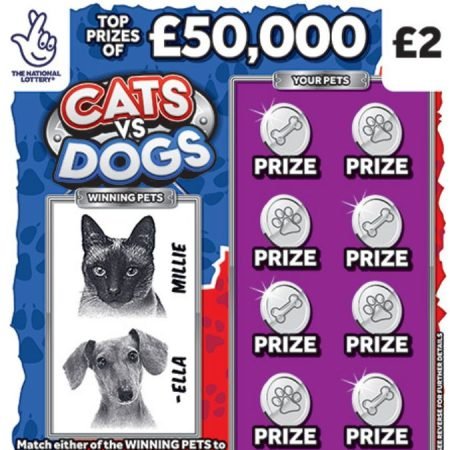 Cats Vs Dogs Scratchcard